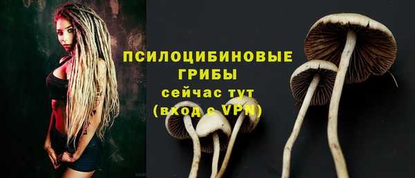 шишки Баксан