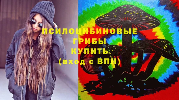 сатива Балабаново