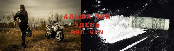 шишки Баксан