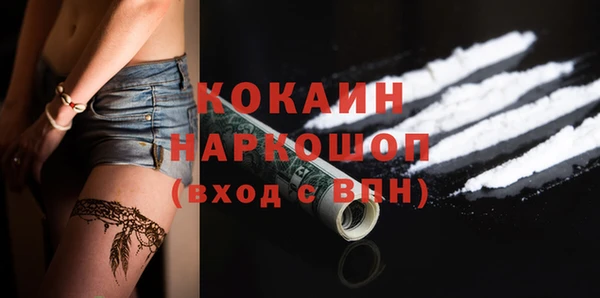 шишки Баксан