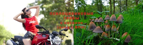 сатива Балабаново